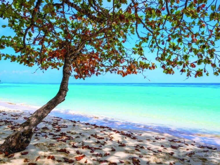 ko-lanta-private-longtail-rok-island-snorkeling-day-trip