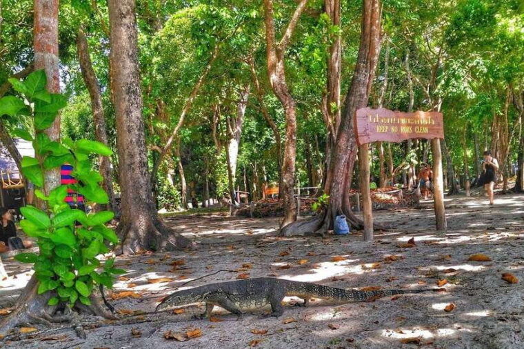 koh-lanta-adventure-sea-tour-to-koh-rok-and-koh-haa