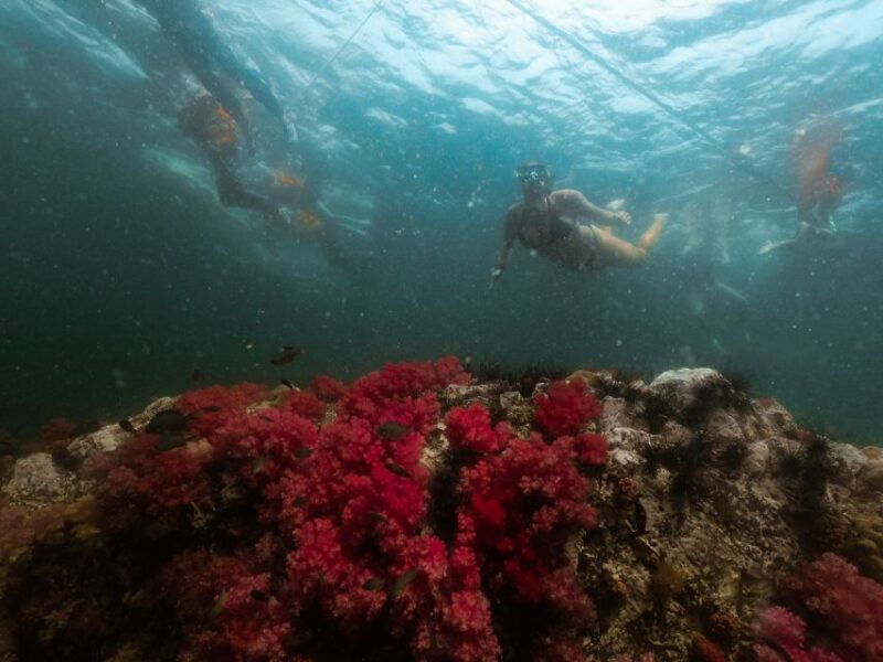 koh-lipe-longtail-boat-snorkeling-trip-with-lunch
