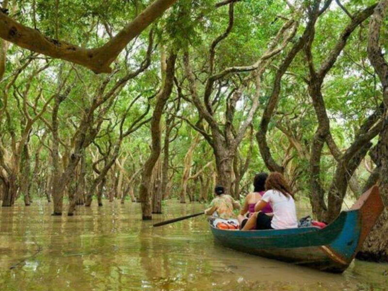 kompong-phluk-floating-village-mangrove-forest-cruise-tour
