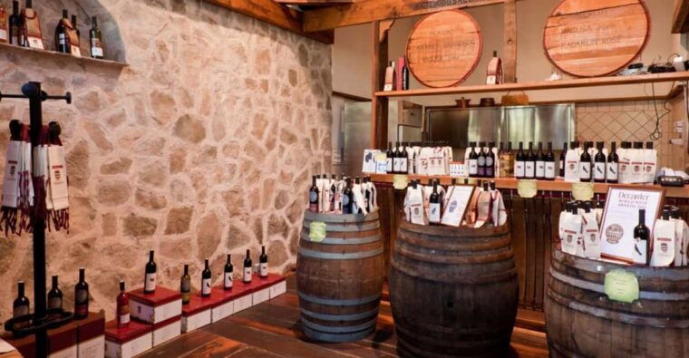 konavle-valley-wine-tasting-at-dubrovnik-cellars