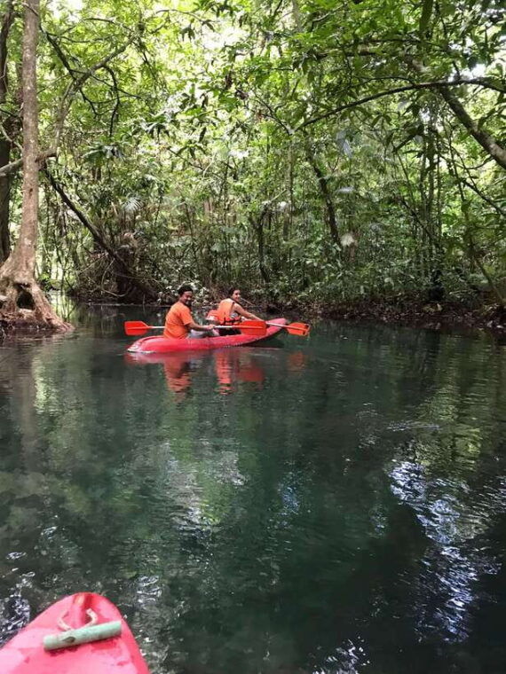 krabi-amazon-klong-srakaew-kayaking-with-lunch
