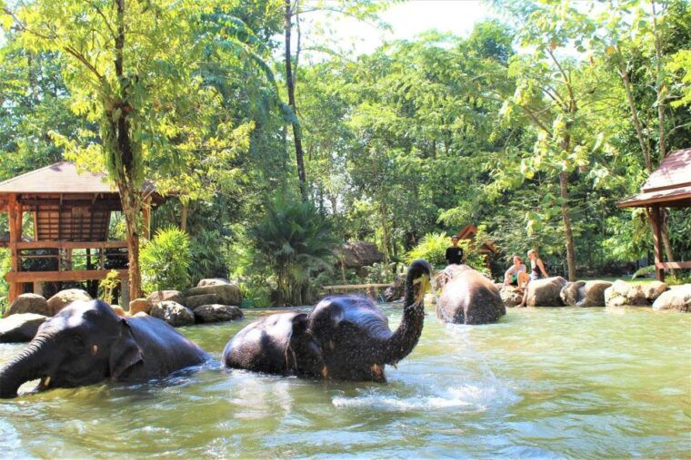 krabi-ethical-elephant-sanctuary-experience