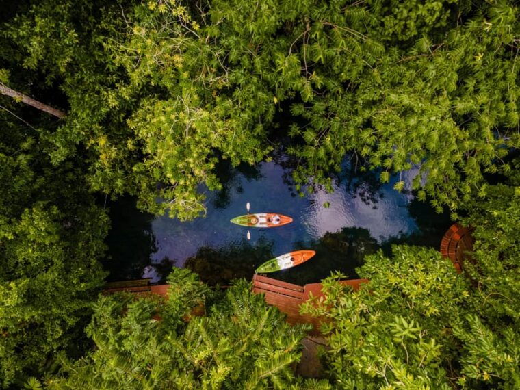 krabi-kayak-adventure-through-ao-thalane-mangrove-forest