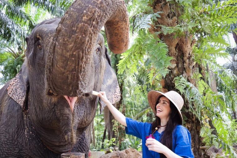 krabi-mangrove-kayak-elephant-shelter-with-private-transfer