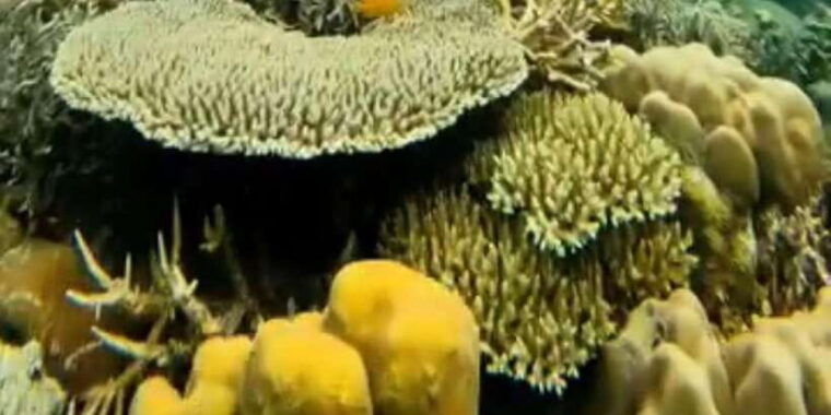 labuan-bajo-rangko-cave-and-beach-snorkeling-half-day-tour