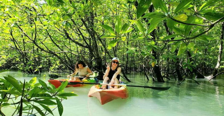 langkawi-kilim-geoforest-mangrove-kayak-tour-with-lunch