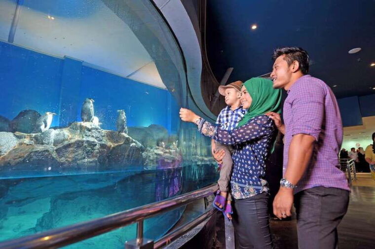langkawi-private-tour-with-sky-bridge-and-cable-car