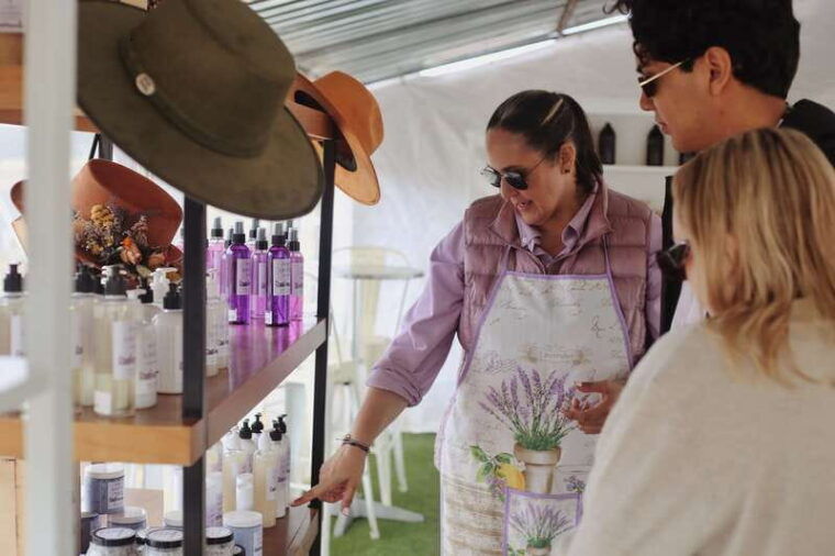 lavender-field-guided-tour