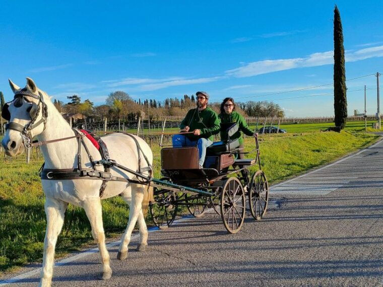 lazise-horse-carriage-tour-with-tasting-of-local-products