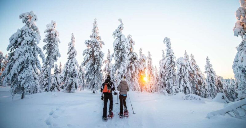 levi-snowshoe-adventure-in-the-wilderness