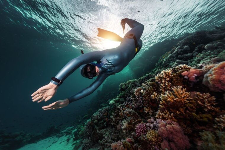 ligaria-beach-discover-free-diving-apnea