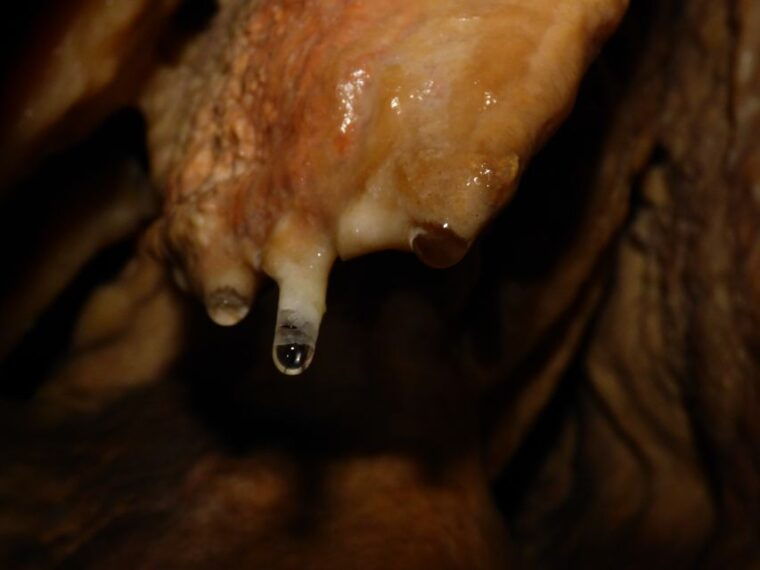 lisbon-arrabida-natural-park-cave-tour-with-guide