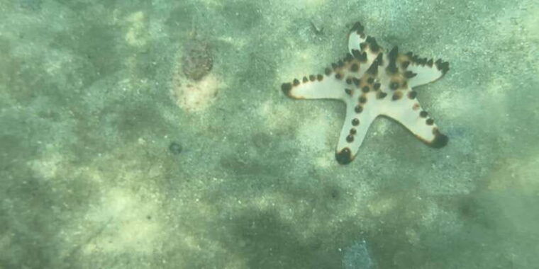 lombok-private-day-trip-snorkeling-in-secret-island