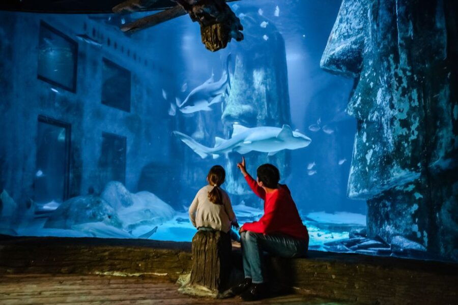 London: SEA LIFE Entry Ticket - Ticket Information and Pricing