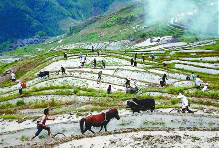 longsheng-ethnic-minority-rice-terraces-full-day-tour