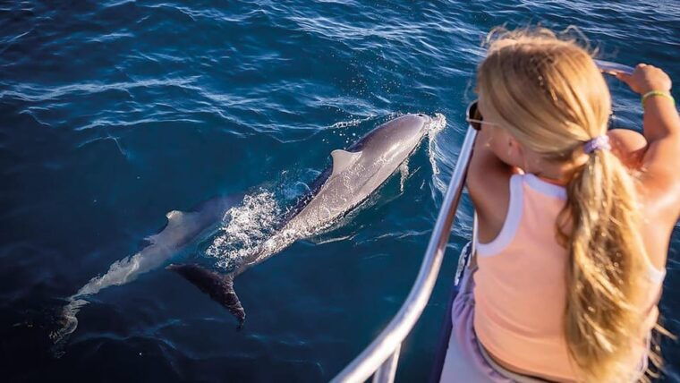 lovina-dolphin-watching-swimming-and-snorkeling