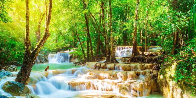 luang-prabang-rice-farm-and-kuang-si-waterfall-tour