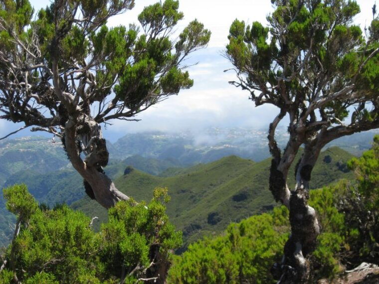 madeira-full-day-pico-ruivo-achada-do-teixeira-walk