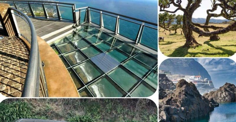 madeira-west-tour-with-guide-fanal-forest-sykwalkexperience
