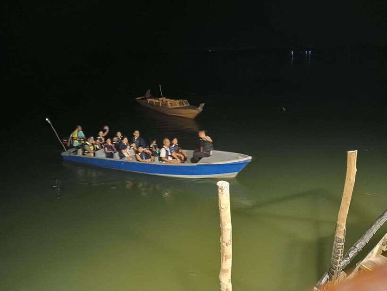 mangrove-discovery-tour-or-fireflies-tour