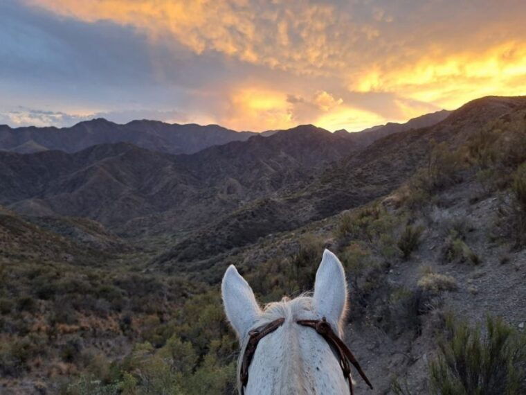 mendoza-sunset-horse-back-riding-in-the-mountains-and-bbq