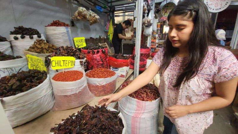 mexico-salsa-making-class-in-a-market-with-a-chef