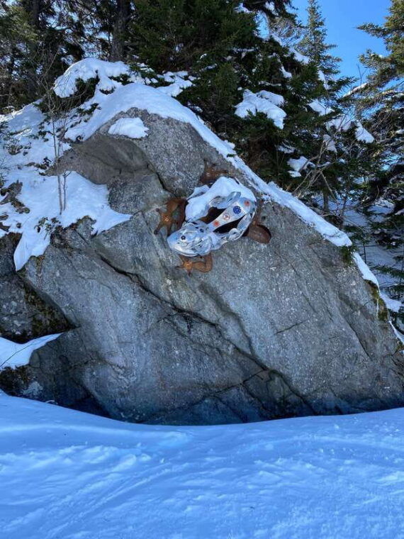 montreal-canadian-forest-guided-tour-by-snowmobile