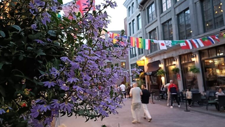 montreal-old-montreal-at-twilight-walking-tour