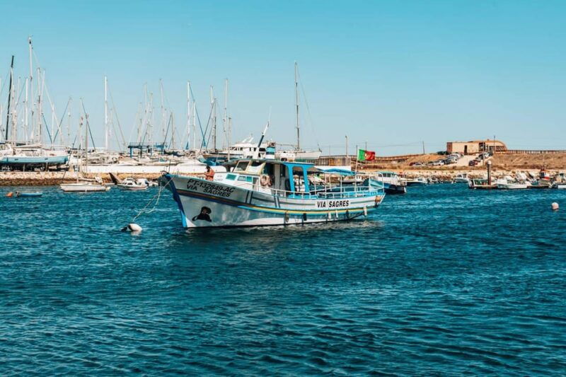 morning-coastal-cruise