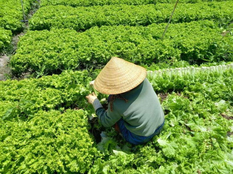 motorcycle-tour-exploring-dalat-countryside-day-tour