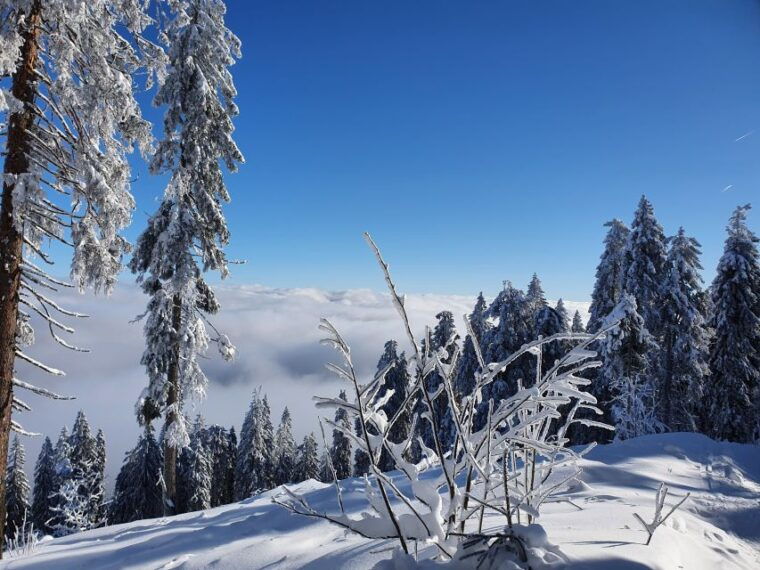 mount-arber-snowshoeing-in-the-bavarian-forest-guided-tour