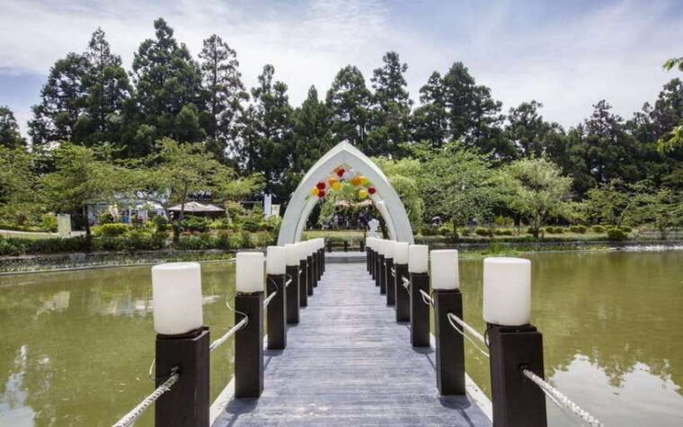 nantou-qingjing-farm-green-green-grassland-ticket-combos