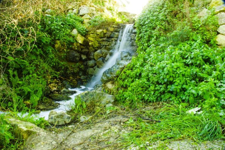 nature-highlights-private-walking-tour-with-transport