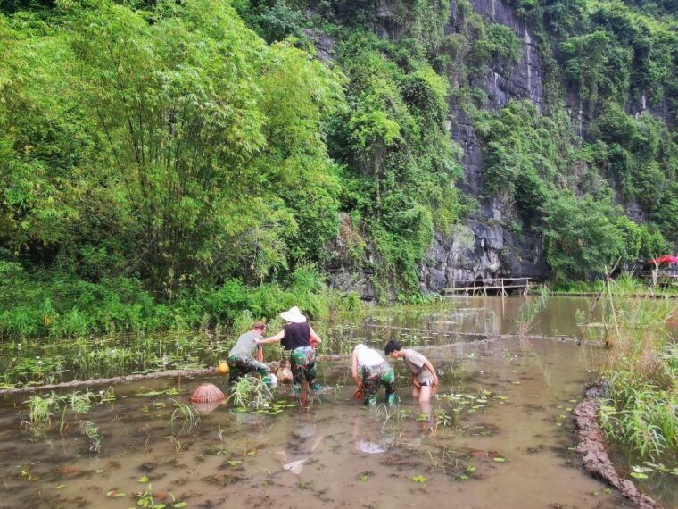 ninh-binh-local-farm-trip-cycling-and-cooking-class