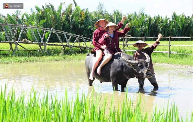 ninh-binh-motorbike-tour