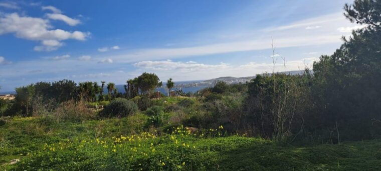 north-malta-quad-bike-tour-with-scenic-land-sea-swimming