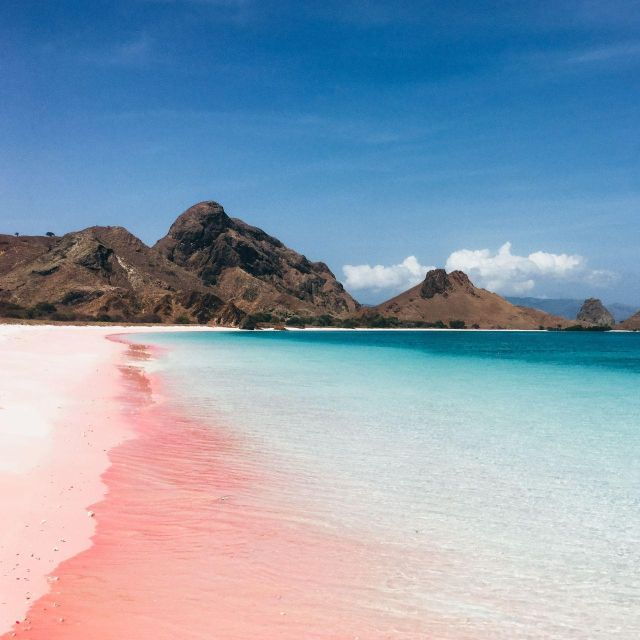 one-day-komodo-tour-by-speedboat