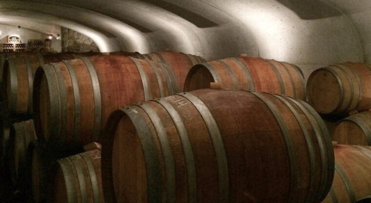 ontario-afternoon-wine-tour-and-cheese-pairing