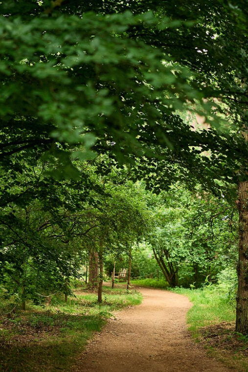 oxford-harcourt-arboretum-entry-ticket