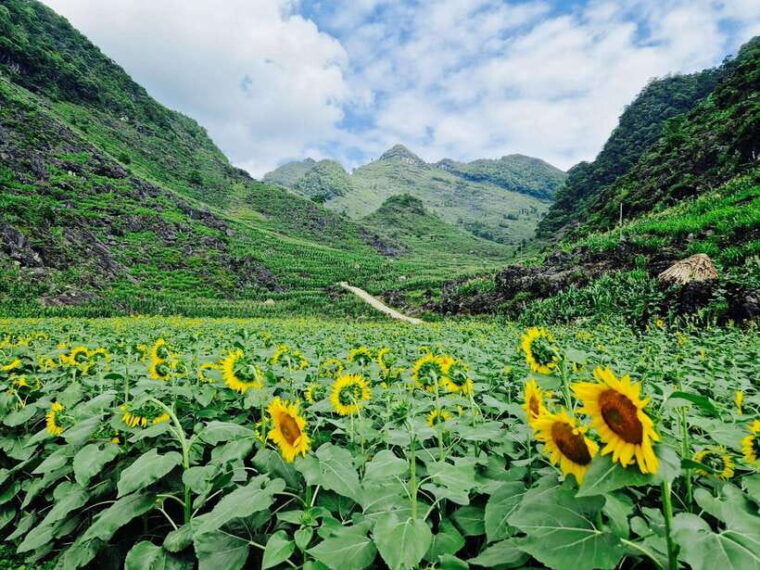 package-7d6n-ninh-binh-sapa-ha-giang-loop-easy-rider