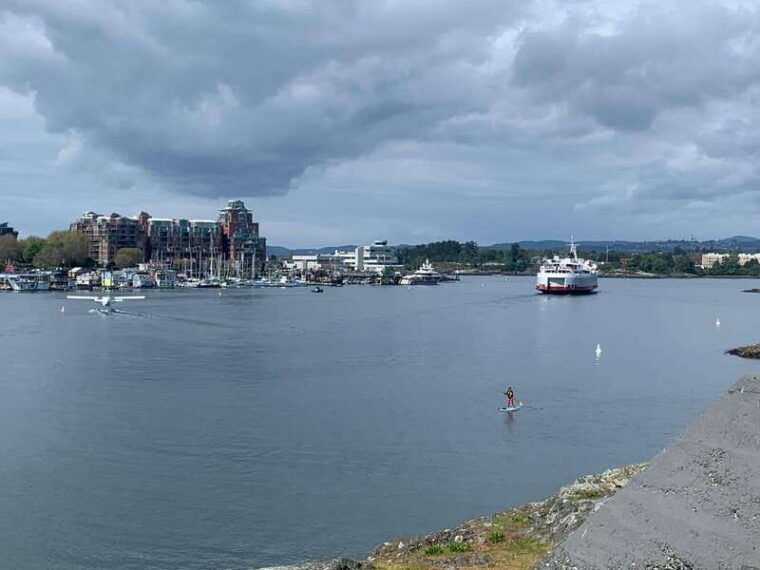 paddle-the-heart-of-downtown-victoria