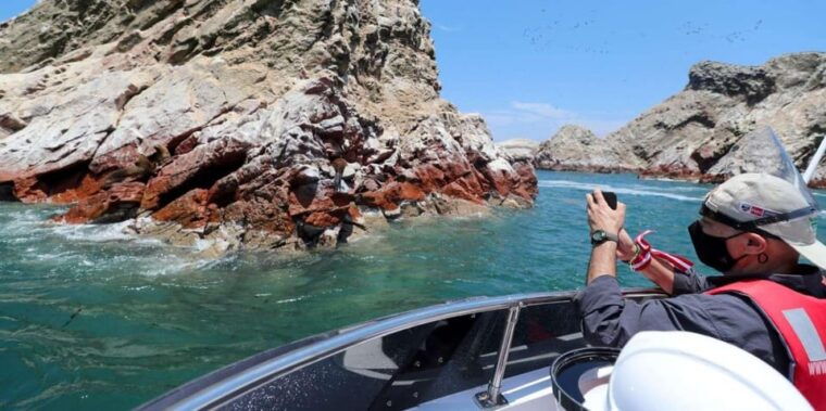 paracas-ballestas-islands-paracas-reserve-full-day