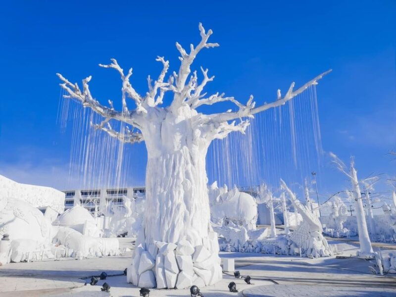 Pattaya: Frost Magical Ice of Siam - Tourist Entry Ticket - Ice Sculpture Displays