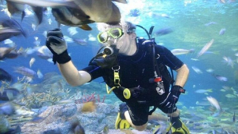 Pattaya: Underwater World Pattaya Aquarium Admission Ticket - Exploring the Coral Reef Zone