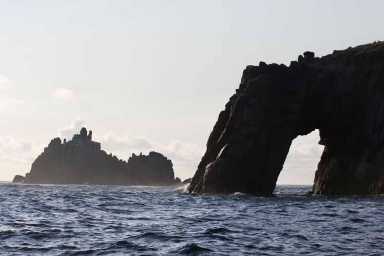 penzance-lands-end-boat-tour-with-wildlife-guides
