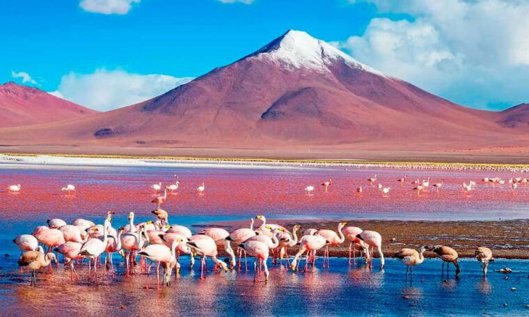 peru-and-bolivia-16-days-15-nights-2