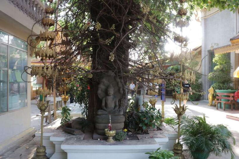 phnom-penh-private-tour-english-local-guide