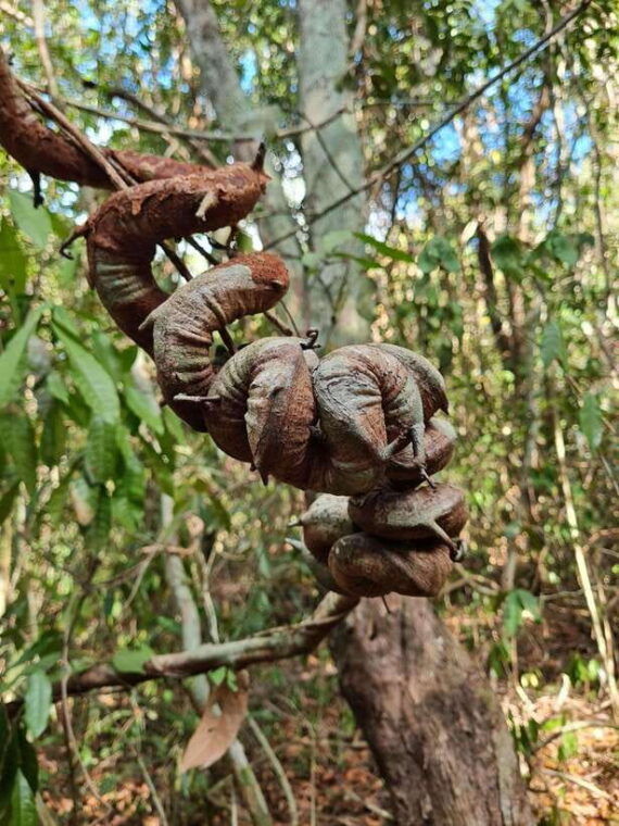 phu-quoc-hiking-tour-national-park-fishing-village