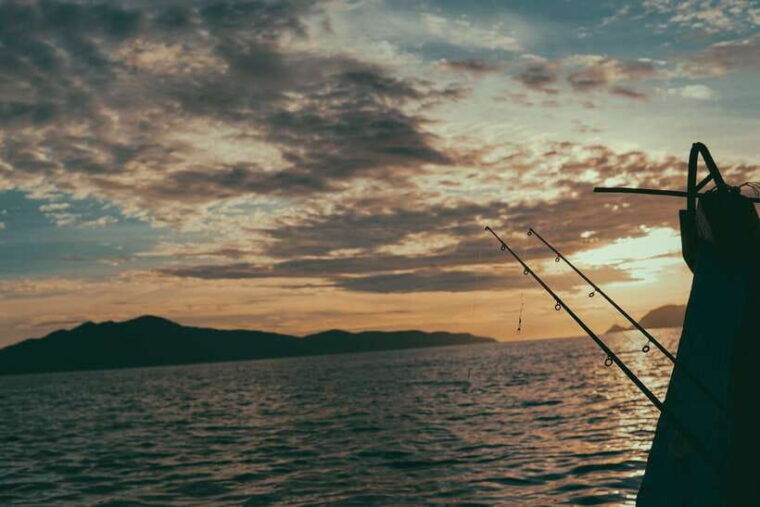 phu-quoc-night-squid-fishing-experience